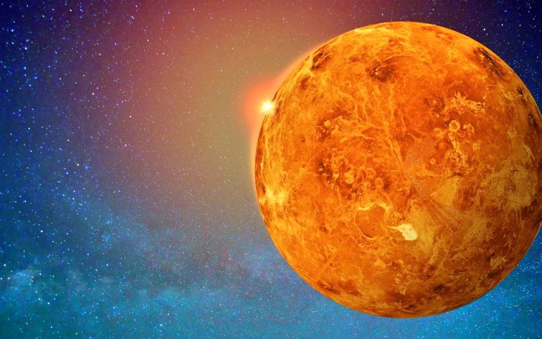 Venus Gemeni