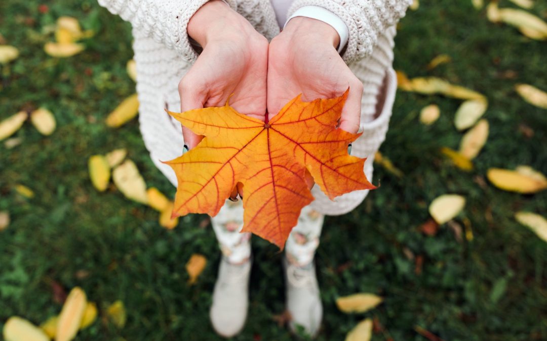 Horoscop Septembrie