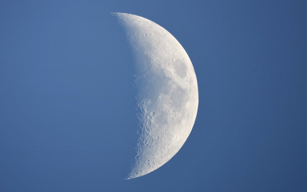 Luna Noua Fecioara