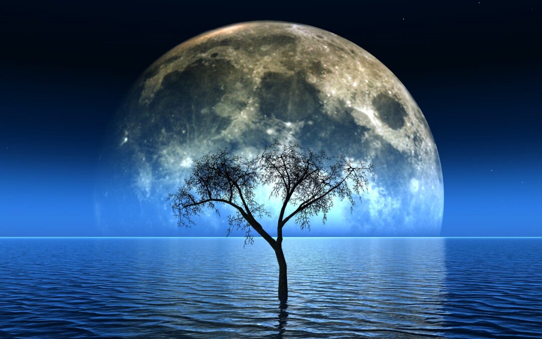 Luna Noua in Pesti