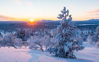 Horoscop Ianuarie 2024
