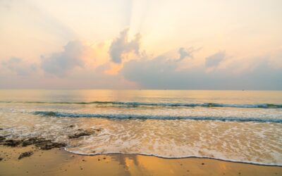 Horoscop August 2024